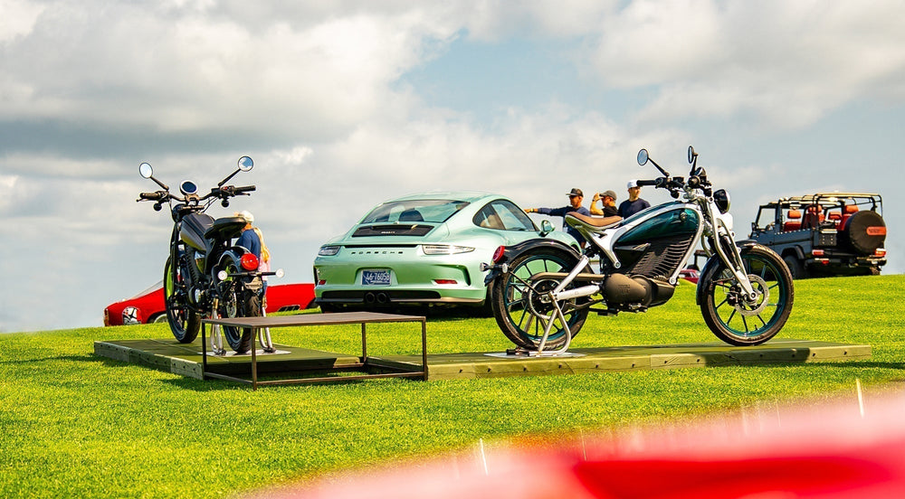 The Legend of the Flying Flea