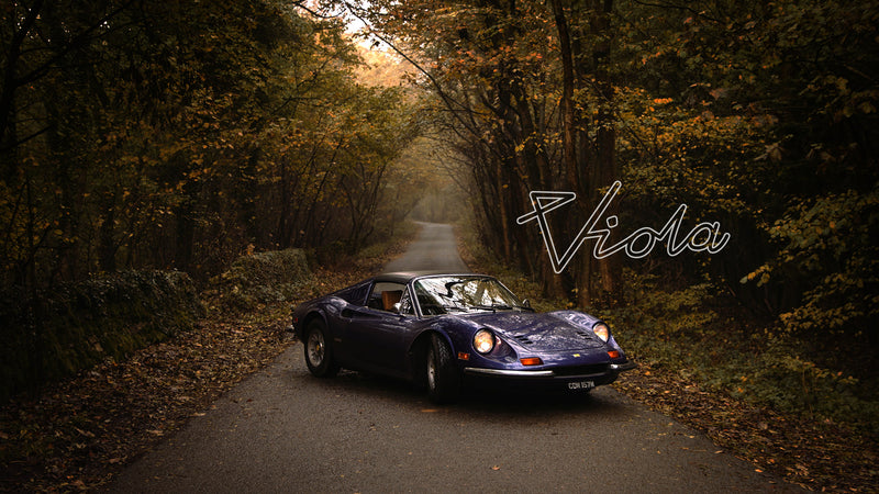 1974 Ferrari Dino 246 GTS: Viola