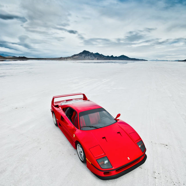 Ferrari F40 Demands Sun Shine
