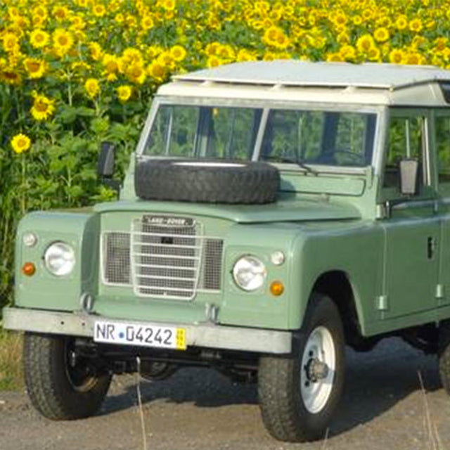 This Green Rover Wants to Come Over