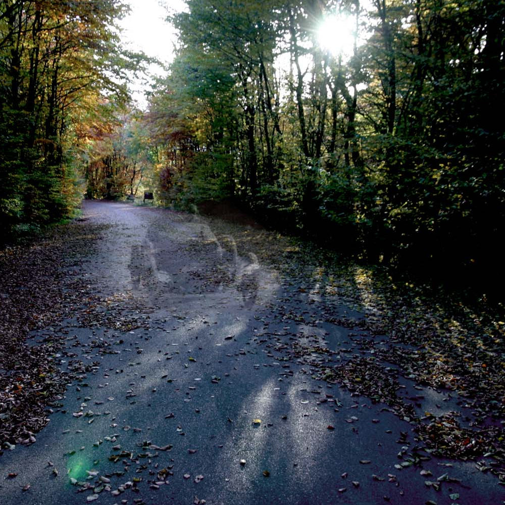 Spirits Still Race the Nürburgring's Forgotten South Loop