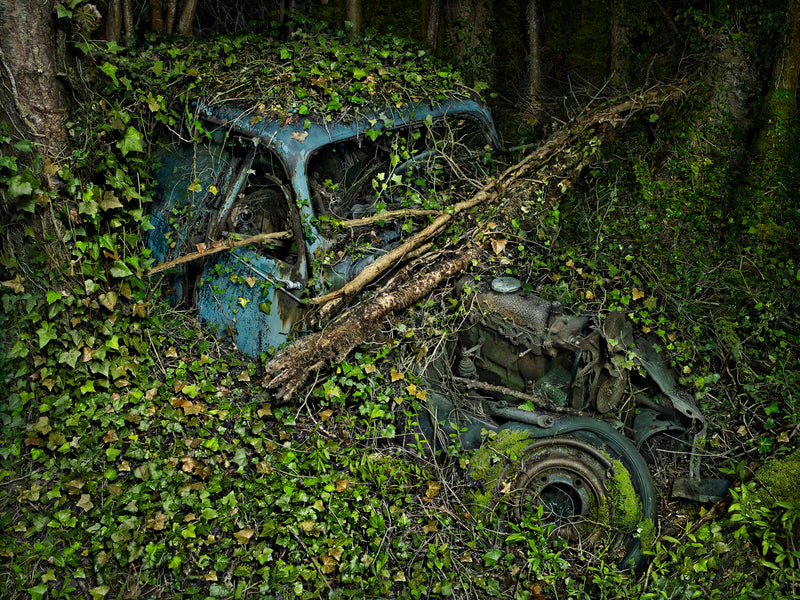 Foundation Cartier's 'Autophoto' Exhibit Explores The Aesthetics And Impacts Of Automobiles