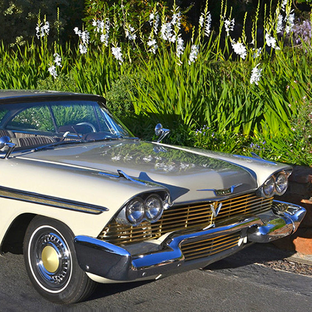 The Perfect Car to Buy if You're Feeling Fast and Fury-ous