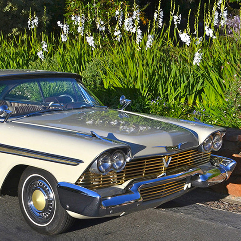 The Perfect Car to Buy if You're Feeling Fast and Fury-ous