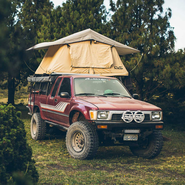 This Couple Dropped Everything, Got Into Their Old Pickup And Never Looked Back