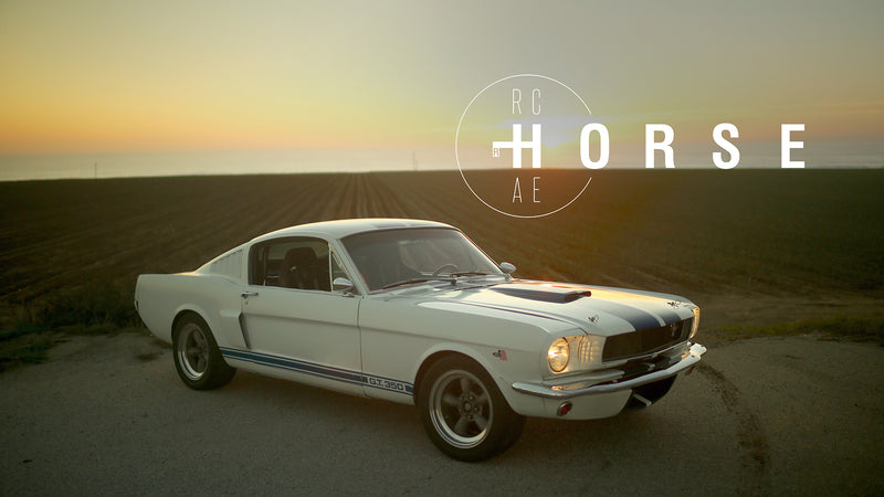 This Ford Mustang Is A Racehorse