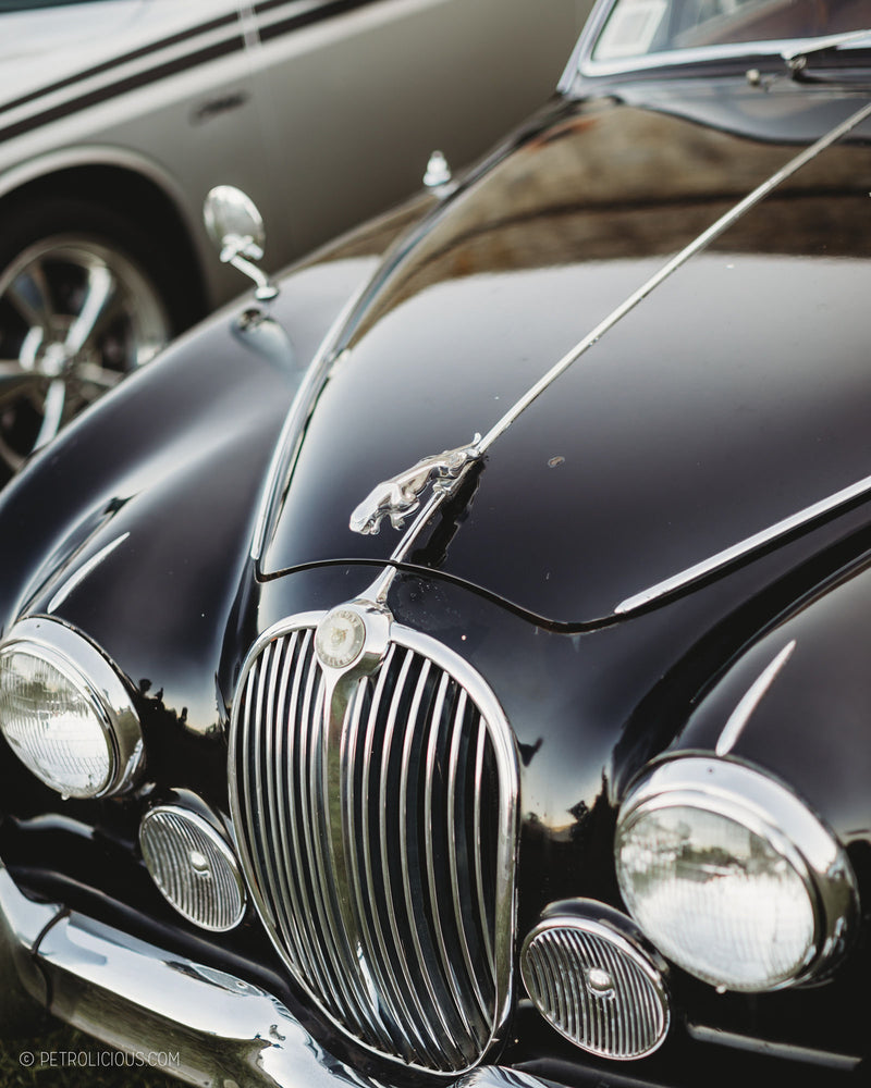 GALLERY: East Coast Cars & Coffee At Brenton Point State Park