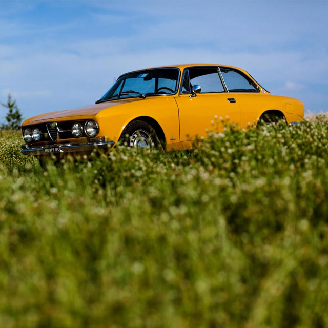 What Makes You a Car Guy?