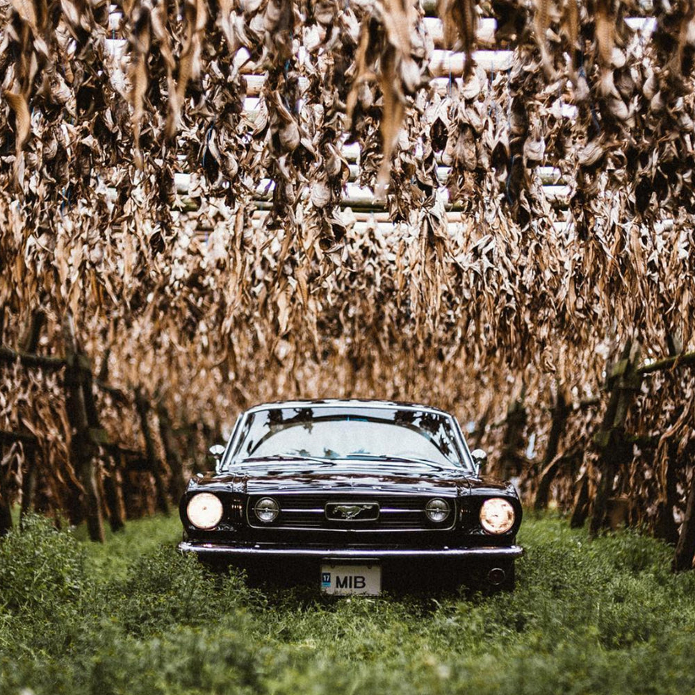 5 Instagrammers Worth Following August 18 Edition