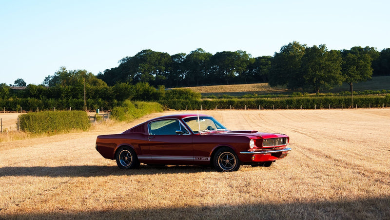 Burning In: Steve Theo's 1965 Mustang