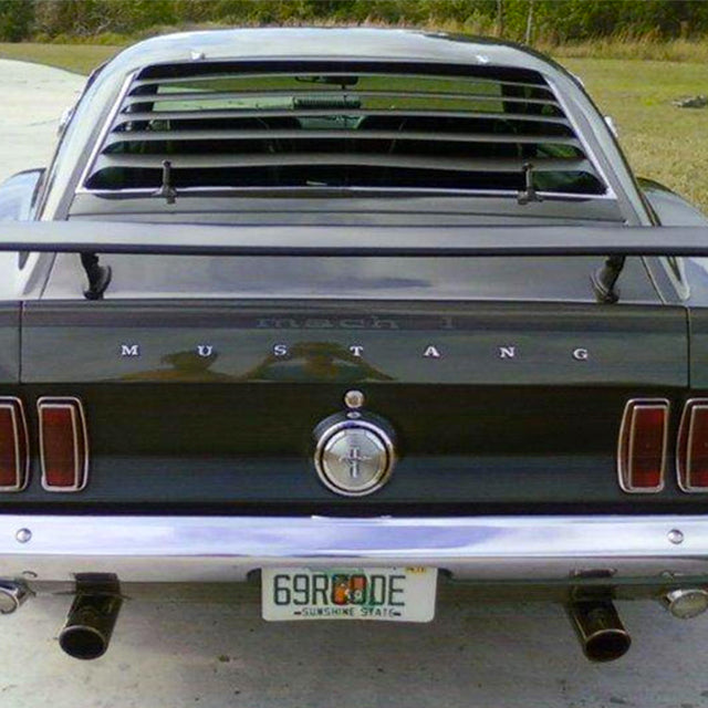 Mustang Needs a New Rider - Petrolicious