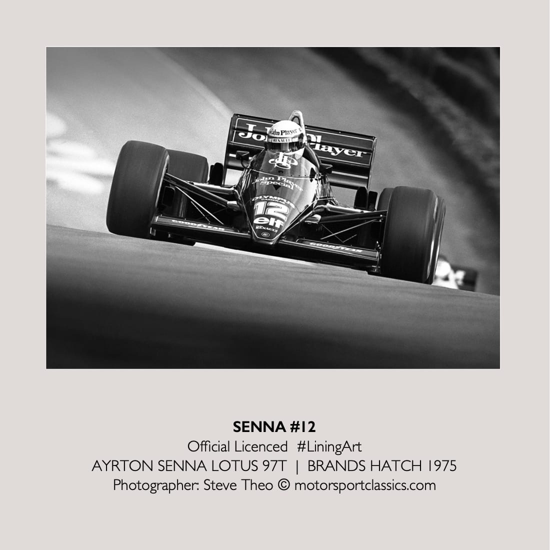 Folded Card Case - Senna 85 Commemorative